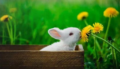 九游官网下载电脑版-瑞士队豪取欧国联胜利，引领全面优势，瑞士欧国联晋级之路