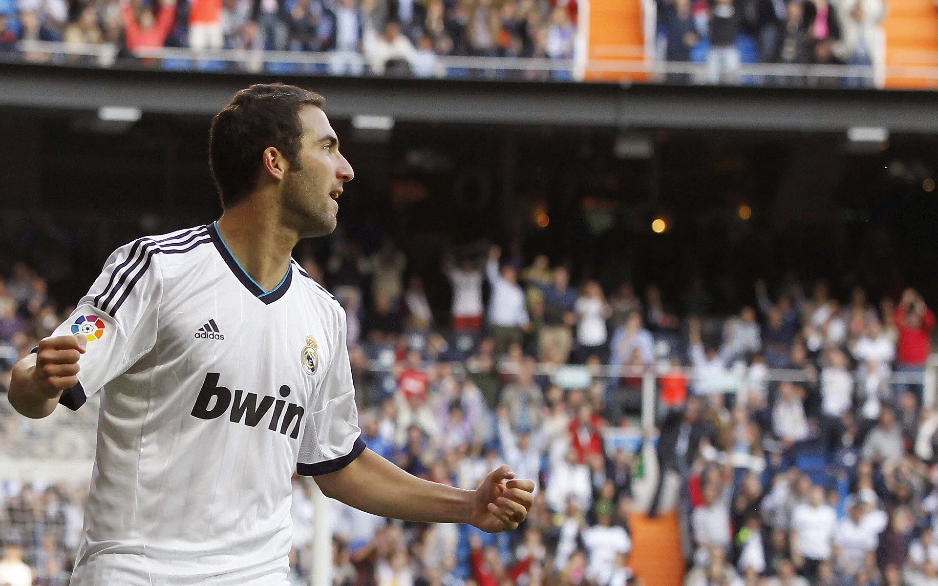 校园活动组织创新,大学校园活动方案创新创意